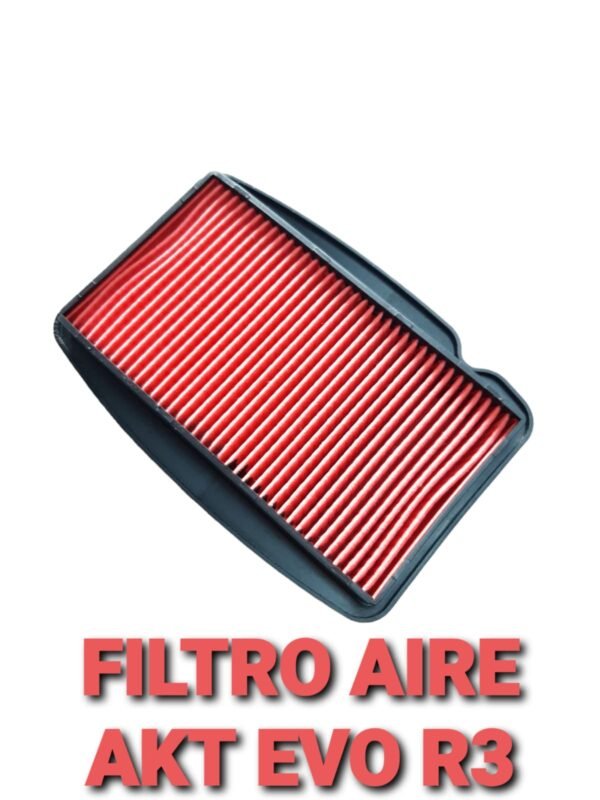 FILTRO AIRE (ELEMENTO) AKT EVO R3